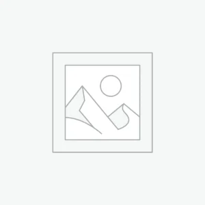 Custom Shopify Development